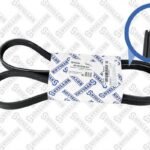 Ремень поликлиновой 5PK1570  Lancia Y 1.2 01-03 STELLOX