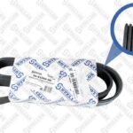 Ремень поликлиновой 6PK1000  Fiat Croma 2.4 20V 05> STELLOX