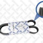 Ремень поликлиновой 6PK1225HD Ford Scorpio/Sierra 2.0 89-94 STELLOX