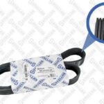 Ремень поликлиновой 7PK1125  Renault Megane 2.0i 16V/1.9DCi 02> STELLOX