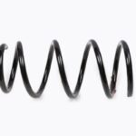 Пружина передняя 40 170 03 Dacia Sandero 1.5DCi 08> STELLOX