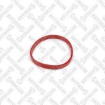 Прокладка коллектора впускного (x6) BMW E64 3.0 24V N52B30A 04> STELLOX