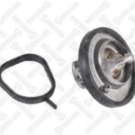 Термостат Ford Focus/Fiesta 1.4/1.6 16V 96> STELLOX