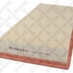 Фильтр воздушный Renault Megane/Scenic1.4-1.9 08> STELLOX