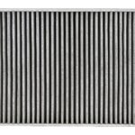 Фильтр салона угольный Ford Fiesta 1.25/1.4/1.6/1.6TDCi 08> STELLOX