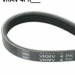 Ремень поликлиновой FIAT PANDA (169_) SKF