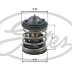 Термостат GATES