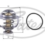 Термостат GATES