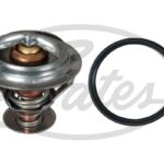 Термостат GATES