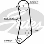 Ремень зубчатый 5627XS 129 x 22 (8597-15627) GATES
