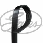 Ремень поликлиновой MAZDA GATES