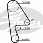 Зубчатый ремень привода ГРМ PowerGrip® GATES 5409XS