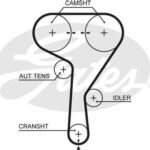 Ремень зубчатый 5603XS 146 x 24 (8597-15603) GATES