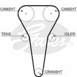 Зубчатый ремень привода ГРМ PowerGrip® GATES 5567XS