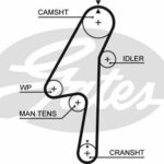Зубчатый ремень привода ГРМ PowerGrip® GATES 5580XS