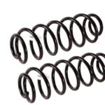 Пружины Ford Fusion задние FOBOS