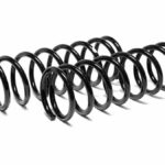 Пружины Hyundai  Sonata IV (04г.- ) задние FOBOS