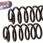 Пружины Hyundai  Santa Fe II (2006-2010) задние  усиленные FOBOS