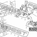 Кольцо уплотнительное сист охлаждения AUDI A6 (4B/C5) 1997-2005 RINGWH-B5 FEBEST