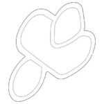 Прокладка водяного насоса VAG