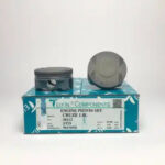 Поршень без колец ( цена за 1 шт) Chevrolet Cruze 1.8i F18D4 d80.5 STD (96476941) TEIKIN